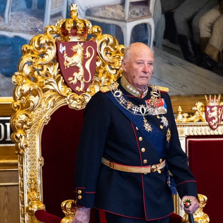 Gonagas Harald rabai Stuoradikki